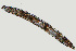  ( - NID-N1206)  @11 [ ] CreativeCommons - Attribution Non-Commercial (2016) Tom Powers University of Nebraska