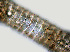  ( - NID-N1206)  @11 [ ] CreativeCommons - Attribution Non-Commercial (2016) Tom Powers University of Nebraska