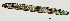  ( - NID-N1217)  @11 [ ] CreativeCommons - Attribution Non-Commercial (2017) Tom Powers University of Nebraska