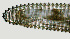  ( - NID-N1217)  @11 [ ] CreativeCommons - Attribution Non-Commercial (2017) Tom Powers University of Nebraska