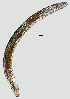  ( - NID-N1249)  @11 [ ] CreativeCommons - Attribution Non-Commercial (2017) Tom Powers University of Nebraska