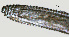  ( - NID-N1251)  @11 [ ] CreativeCommons - Attribution Non-Commercial (2017) Tom Powers University of Nebraska