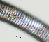  ( - NID-N1251)  @11 [ ] CreativeCommons - Attribution Non-Commercial (2017) Tom Powers University of Nebraska
