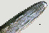  ( - NID-N1252)  @11 [ ] CreativeCommons - Attribution Non-Commercial (2017) Tom Powers University of Nebraska