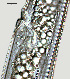  ( - NID-N1261)  @11 [ ] CreativeCommons - Attribution Non-Commercial (2017) Tom Powers University of Nebraska