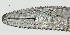  ( - NID-N1279)  @11 [ ] CreativeCommons - Attribution Non-Commercial (2017) Tom Powers University of Nebraska