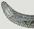  ( - NID-N1283)  @11 [ ] CreativeCommons - Attribution Non-Commercial (2017) Tom Powers University of Nebraska