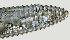  ( - NID-N1283)  @11 [ ] CreativeCommons - Attribution Non-Commercial (2017) Tom Powers University of Nebraska