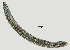  ( - NID-N1285)  @11 [ ] CreativeCommons - Attribution Non-Commercial (2017) Tom Powers University of Nebraska