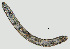 ( - NID-N1288)  @11 [ ] CreativeCommons - Attribution Non-Commercial (2017) Tom Powers University of Nebraska