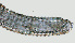  ( - NID-N1288)  @11 [ ] CreativeCommons - Attribution Non-Commercial (2017) Tom Powers University of Nebraska