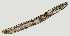  ( - NID-N1298)  @11 [ ] CreativeCommons - Attribution Non-Commercial (2017) Tom Powers University of Nebraska