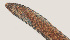  ( - NID-N12)  @11 [ ] CreativeCommons - Attribution Non-Commercial (2017) Tom Powers University of Nebraska
