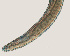  ( - NID-N12)  @11 [ ] CreativeCommons - Attribution Non-Commercial (2017) Tom Powers University of Nebraska
