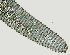  ( - NID-N1300)  @11 [ ] CreativeCommons - Attribution Non-Commercial (2017) Tom Powers University of Nebraska