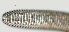 ( - NID-N1301)  @11 [ ] CreativeCommons - Attribution Non-Commercial (2017) Tom Powers University of Nebraska