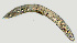  ( - NID-N1306)  @11 [ ] CreativeCommons - Attribution Non-Commercial (2017) Tom Powers University of Nebraska