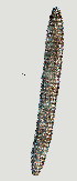  ( - NID-N1310)  @11 [ ] CreativeCommons - Attribution Non-Commercial (2016) Tom Powers University of Nebraska