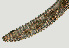  ( - NID-N1339)  @11 [ ] CreativeCommons - Attribution Non-Commercial (2016) Tom Powers University of Nebraska
