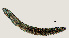  ( - NID-N1344)  @11 [ ] CreativeCommons - Attribution Non-Commercial (2016) Tom Powers University of Nebraska
