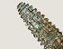  ( - NID-N1344)  @11 [ ] CreativeCommons - Attribution Non-Commercial (2016) Tom Powers University of Nebraska