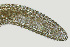  ( - NID-N1382)  @11 [ ] CreativeCommons - Attribution Non-Commercial (2016) Tom Powers University of Nebraska