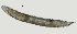  ( - NID-N1425)  @11 [ ] CreativeCommons - Attribution Non-Commercial (2017) Tom Powers University of Nebraska