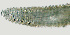  ( - NID-N1425)  @11 [ ] CreativeCommons - Attribution Non-Commercial (2017) Tom Powers University of Nebraska