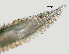  ( - NID-N1425)  @11 [ ] CreativeCommons - Attribution Non-Commercial (2017) Tom Powers University of Nebraska