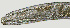  ( - NID-N1454)  @11 [ ] CreativeCommons - Attribution Non-Commercial (2017) Tom Powers University of Nebraska