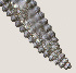  ( - NID-N1462)  @11 [ ] CreativeCommons - Attribution Non-Commercial (2016) Tom Powers University of Nebraska