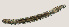  ( - NID-N1481)  @11 [ ] CreativeCommons - Attribution Non-Commercial (2016) Tom Powers University of Nebraska
