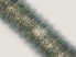  ( - NID-N1481)  @11 [ ] CreativeCommons - Attribution Non-Commercial (2016) Tom Powers University of Nebraska