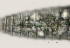  ( - NID-N1491)  @11 [ ] CreativeCommons - Attribution Non-Commercial (2016) Tom Powers University of Nebraska