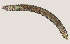  ( - NID-N2074)  @11 [ ] CreativeCommons - Attribution Non-Commercial (2016) Tom Powers University of Nebraska