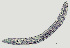  ( - NID-N259)  @11 [ ] CreativeCommons - Attribution Non-Commercial (2017) Tom Powers University of Nebraska