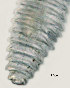  ( - NID-N2716)  @11 [ ] CreativeCommons - Attribution Non-Commercial (2017) Tom Powers University of Nebraska