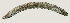  ( - NID-N2861)  @11 [ ] CreativeCommons - Attribution Non-Commercial (2016) Tom Powers University of Nebraska