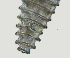  ( - NID-N3057)  @11 [ ] CreativeCommons - Attribution Non-Commercial (2016) Tom Powers University of Nebraska