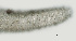  ( - NID-N308)  @11 [ ] CreativeCommons - Attribution Non-Commercial (2017) Tom Powers University of Nebraska