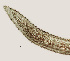  ( - NID-N309)  @11 [ ] CreativeCommons - Attribution Non-Commercial (2016) Tom Powers University of Nebraska