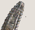  ( - NID-N3196)  @11 [ ] CreativeCommons - Attribution Non-Commercial (2016) Tom Powers University of Nebraska