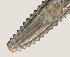  (Lobocriconema sp. Singleton O - NID-N3229)  @11 [ ] CreativeCommons - Attribution Non-Commercial (2016) Tom Powers University of Nebraska