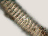  ( - NID-N3267)  @11 [ ] CreativeCommons - Attribution Non-Commercial (2016) Tom Powers University of Nebraska