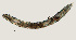  ( - NID-N3291)  @11 [ ] CreativeCommons - Attribution Non-Commercial (2016) Tom Powers University of Nebraska