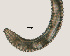  ( - NID-N3293)  @11 [ ] CreativeCommons - Attribution Non-Commercial (2016) Tom Powers University of Nebraska