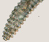  ( - NID-N3293)  @11 [ ] CreativeCommons - Attribution Non-Commercial (2016) Tom Powers University of Nebraska
