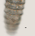  ( - NID-N3293)  @11 [ ] CreativeCommons - Attribution Non-Commercial (2016) Tom Powers University of Nebraska