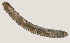  ( - NID-N3296)  @11 [ ] CreativeCommons - Attribution Non-Commercial (2016) Tom Powers University of Nebraska