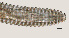  ( - NID-N3296)  @11 [ ] CreativeCommons - Attribution Non-Commercial (2016) Tom Powers University of Nebraska